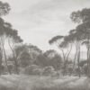 Bosque Pinos Sepia - Naturaleza Vintage Atemporal - Imagen 2
