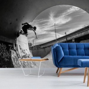 Bowl de Skateboard Clásico