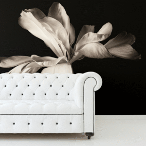 Tulipán Monocromático Dramático