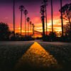 California - Atardecer con Palmeras - Imagen 2