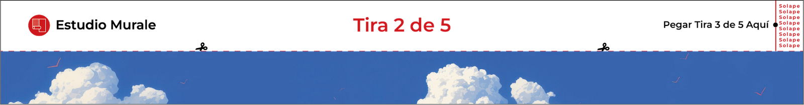Guía visual de instalación de fotomural - Barra y tira