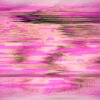 Static Rose - Imagen 2
